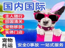 左旗巴彦浩特航空运输国际宠物托运 【国